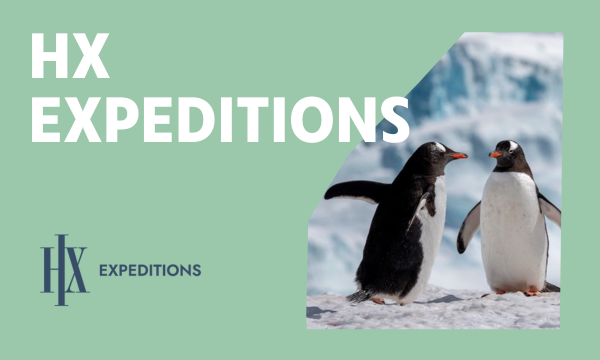 Photo of 2 penguins with branded green graphic overlay and HX Expeditions logo